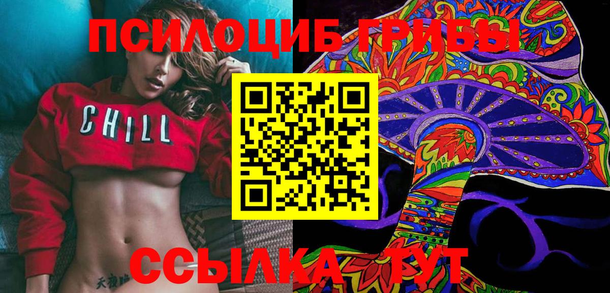 Можга  Псилоцибиновые грибы Cubensis  Вход с VPN 